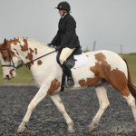 Dressage-Photo-from-High-Cross-Equestrian-Centre