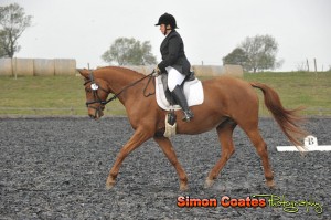 Photos of Dressage