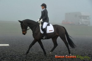 Dressage in the fog