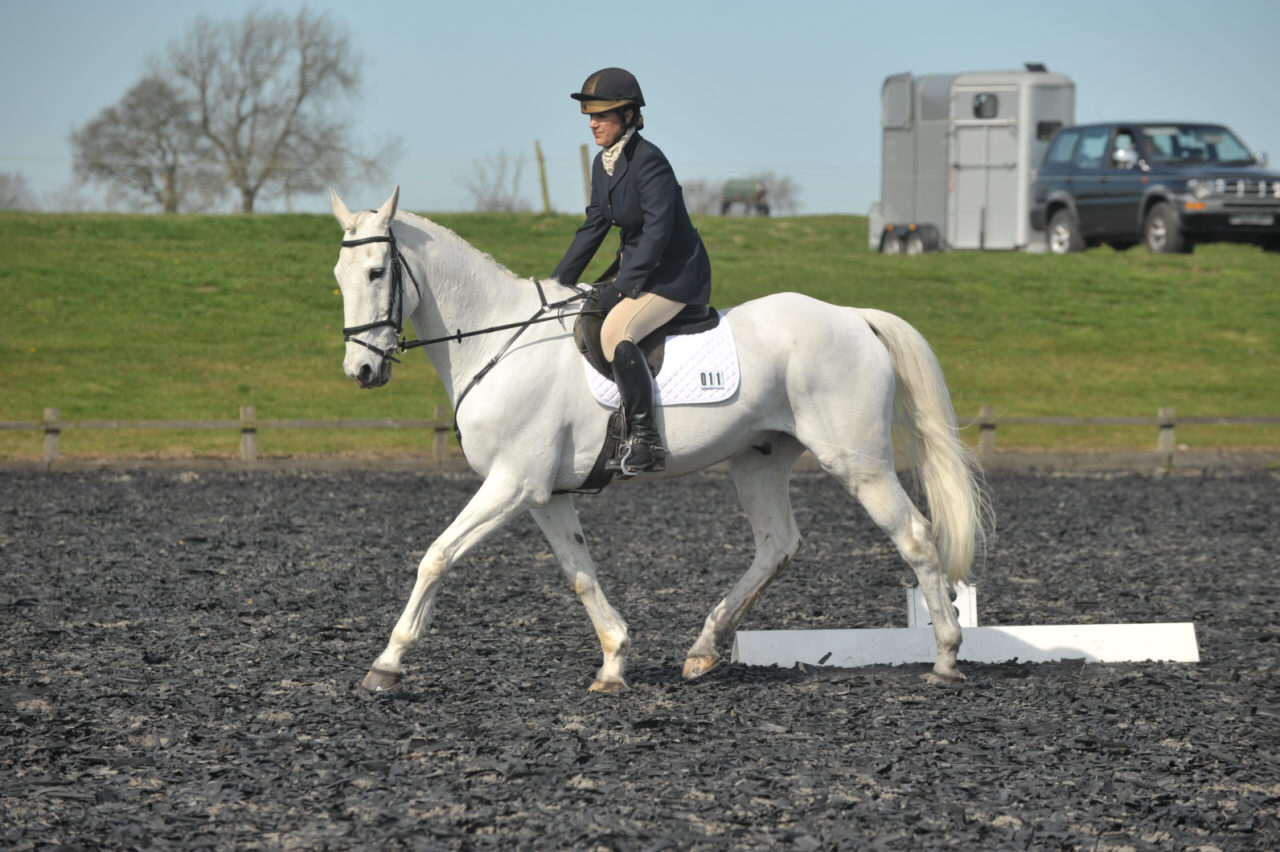 Dressage Photo from High Cross Equestrian Centre