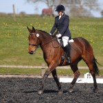 Trailblazers Dressage Qualifiers