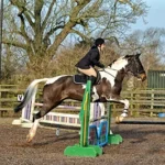Show jumping photos from Hartshill Riding Club