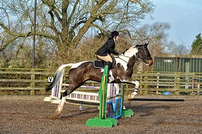 Show jumping photos from Hartshill Riding Club