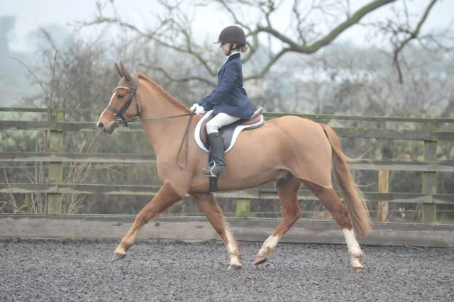 Dressage photo from Hartshill RC