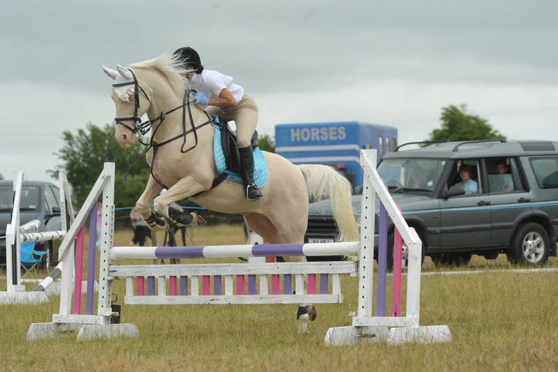 Photos from Hartshill Riding Club - July 2013