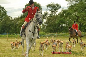 Parade of Hounds - Simon Coates Equestrian Photography