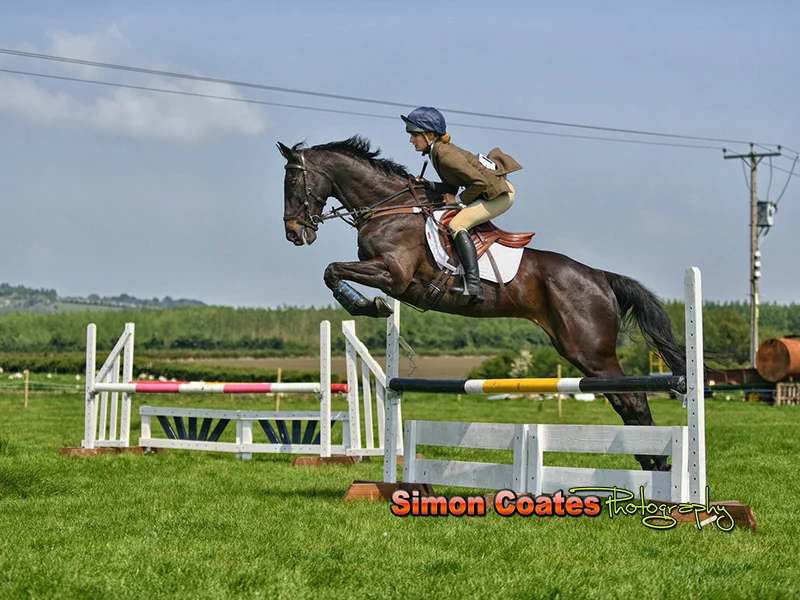 Showjumping photograph from the Napton Show