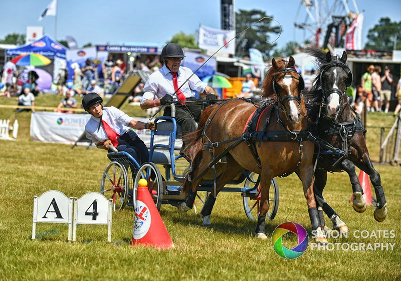 Equestrian Photography