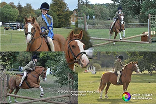 Northants PC Show Photo