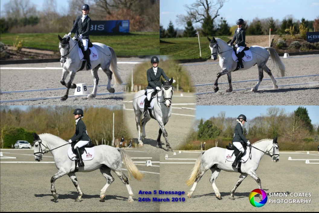 Dressage montage photo