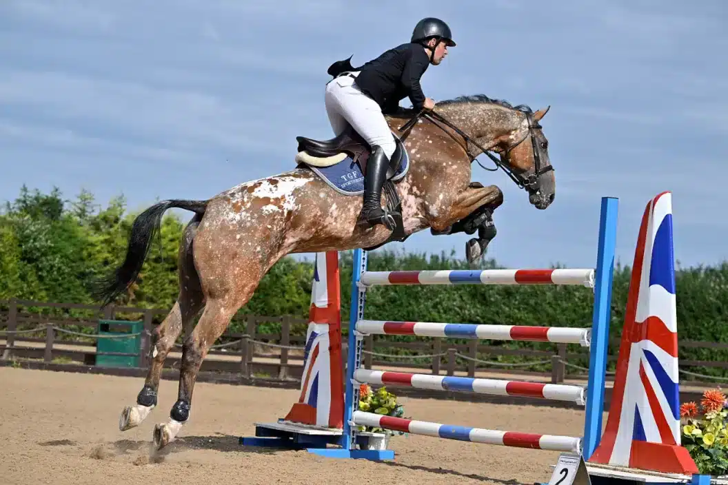 Show jumping photography