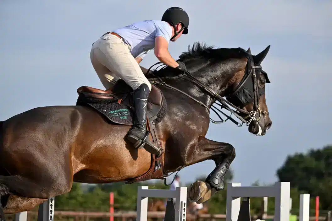 Horse and rider photo