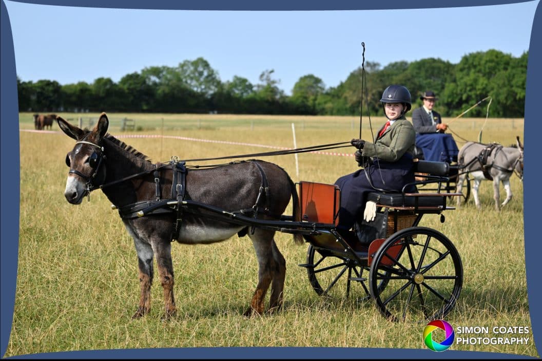 Donkey Breed Society Show 2024 Official Photos.jpg