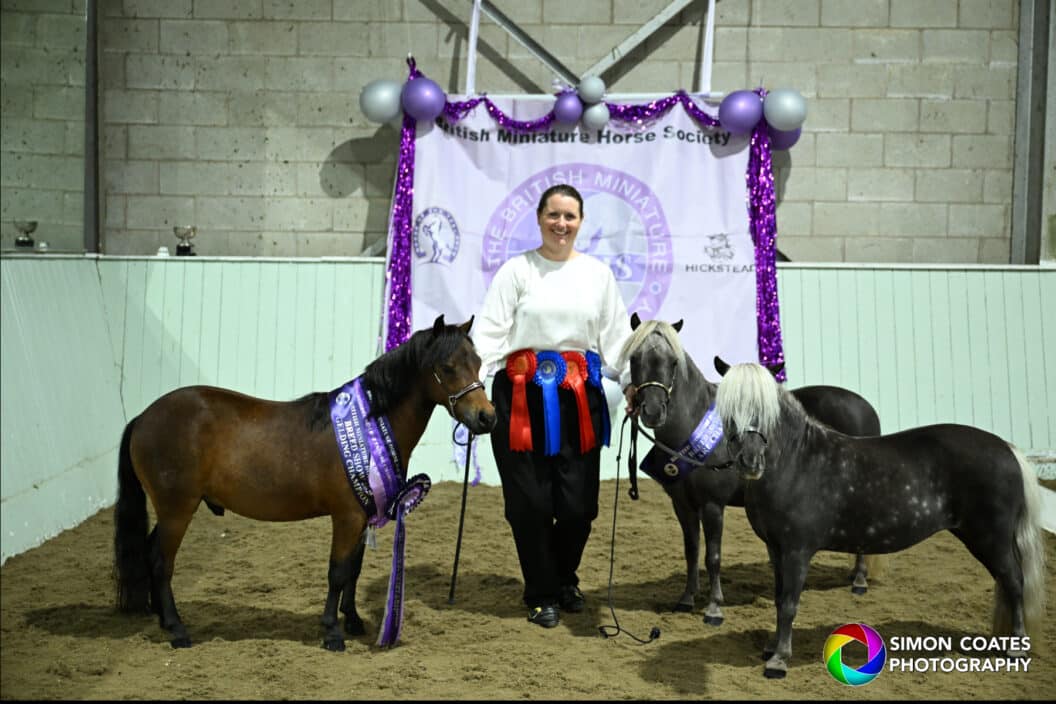 Miniature Horse Show